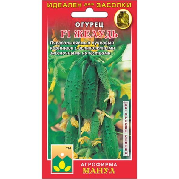 Семена огурца Желудь F1 /10 семян/ *Манул*