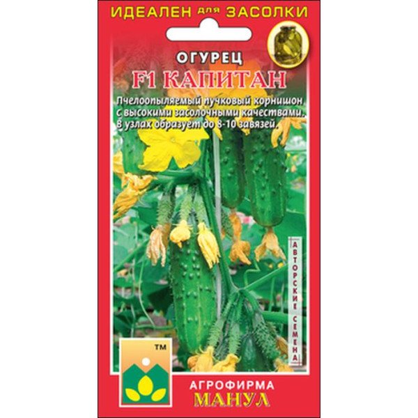 Семена огурца Капитан F1 /10 семян/ *Манул*