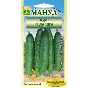 Огурец Ладога F1 /12 семян/ *Манул*