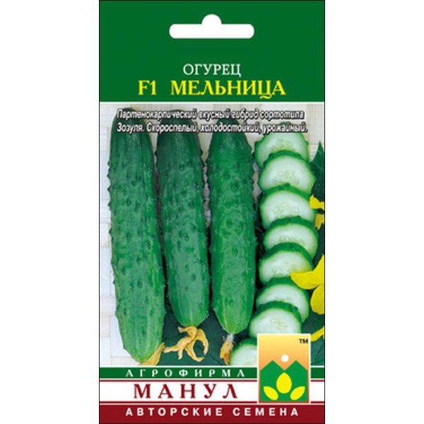 Огурец Мельница F1 /10 семян/ *Манул*