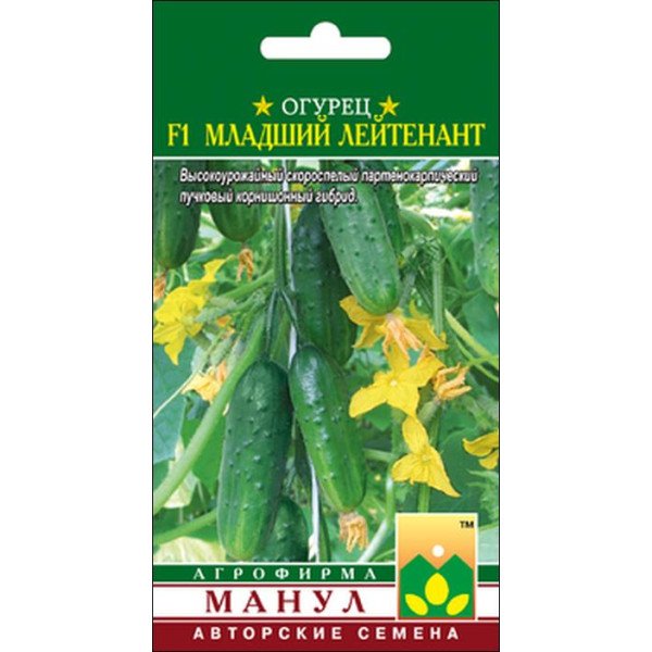 Огурец Младший лейтенант F1 /10 семян/ *Манул*