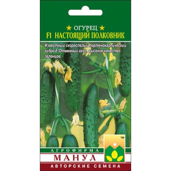 Огурец Настоящий полковник F1 /10 семян/ *Манул*