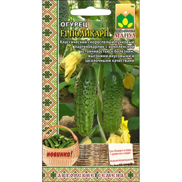 Насіння огірка Полікарп F1 /10 насінин/ *Манул*