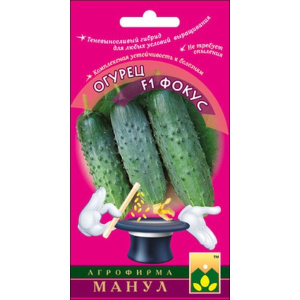 Семена огурца Фокус F1 /12 семян/ *Манул*