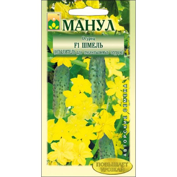 Насіння огірка Джміль F1 /10 насінин/ *Манул*