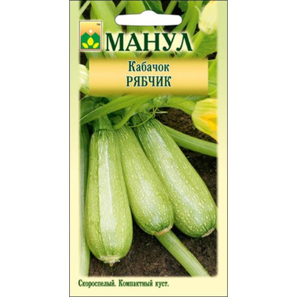 Насіння кабачка Рябчик /8 насінин/ *Манул*