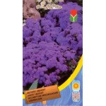 Агератум Мексиканський синій /0,1 г/ *Moravoseed*