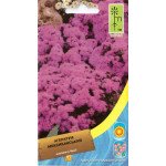 Агератум Мексиканский розовый /0,1 г/ *Moravoseed*