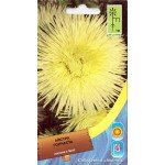 Айстра голчаста жовта /0,5 г/ *Moravoseed*