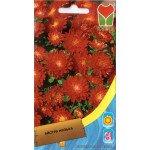 Айстра карликова червона /0,4 г/ *Moravoseed*