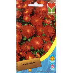 Айстра карликова червона /0,4 г/ *Moravoseed*