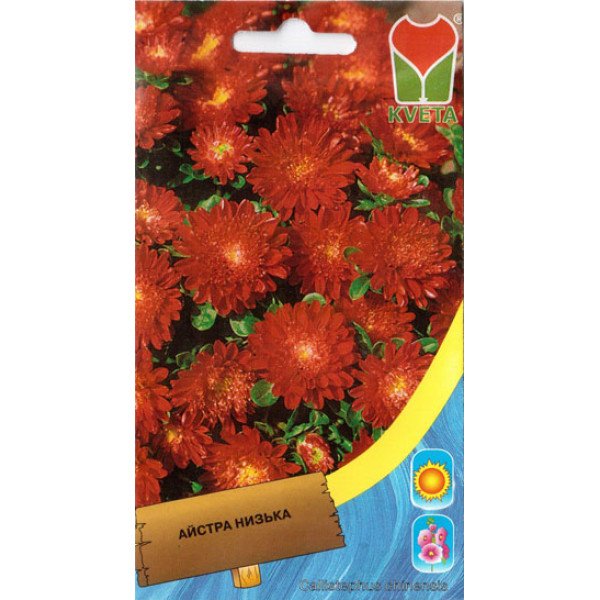 Насіння айстри карликова червона /0,4 г/ *Moravoseed*
