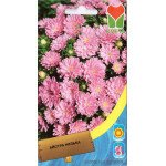 Айстра карликова рожева /0,4 г/ *Moravoseed*