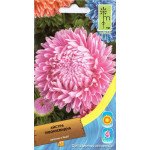 Айстра піоновидна суміш /0,5 г/ *Moravoseed*