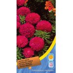 Астра низкая карминовая /0,4 г/ *Moravoseed*