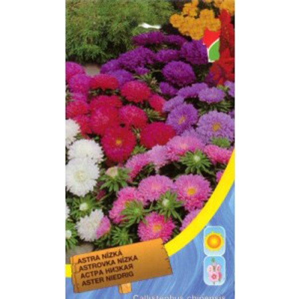 Насіння айстри низька суміш /0,4 г/ *Moravoseed*