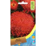Астра Принцесса красная /0,5 г/ *Moravoseed*
