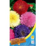 Айстра Принцеса суміш /0,5 г/ *Moravoseed*