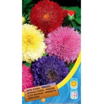 Астра Принцесса смесь /0,5 г/ *Moravoseed*