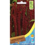 Амарант пурпурний /0,6 г/ *Moravoseed*