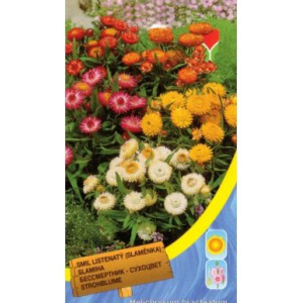 Семена бессмертника карликового смесь /0,4 г/ *Moravoseed*