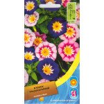 Вьюнок трехцветный смесь /0,7 г/ *Moravoseed*