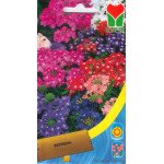 Вербена суміш /0,3 г/ *Moravoseed*
