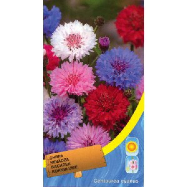 Насіння волошки суміш /0,4 г/ *Moravoseed*