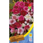 Гвоздика китайська суміш /0,4 г/ *Moravoseed*