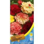 Гвоздика Шабо суміш /0,25 г/ *Moravoseed*