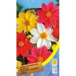 Жоржина садова суміш /0,8 г/ *Moravoseed*