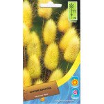 Заячий хвостик /0,8 г/ *Moravoseed*