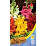 Львиный зев смесь /0,1 г/ *Moravoseed*