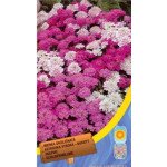 Иберис смесь /0,3 г/ *Moravoseed*