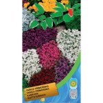 Алиссум смесь /0,2 г/ *Moravoseed*