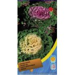 Капуста декоративна суміш /0,2 г/ *Moravoseed*