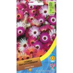 Ледяник маргаритковидний суміш /0,3 г/ *Moravoseed*