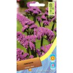 Лимоніум рожевий /0,2 г/ *Moravoseed*