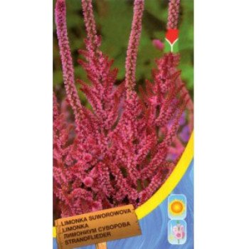 Лимоніум Суворова рожевий /0,04 г/ *Moravoseed*