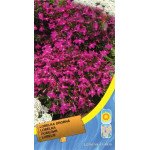 Лобелия розовая /0,1 г/ *Moravoseed*