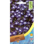 Лобелия синяя /0,1 г/ *Moravoseed*