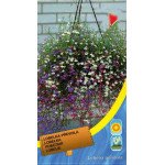 Лобелія ампельна суміш /0,1/ *Moravoseed*