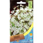 Мильнянка елегантна біла /0,5 г/ *Moravoseed*