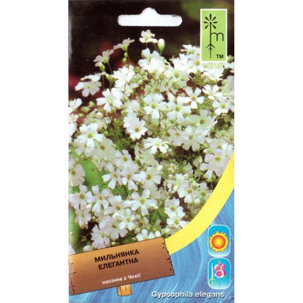 Насіння мильнянки елегантна біла /0,5 г/ *Moravoseed*