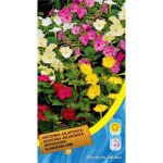 Мирабилис смесь /2 г/ *Moravoseed*