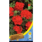 Пеларгонія червона /8 насінин/ *Moravoseed*