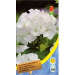Пеларгония белая /8 семян/ *Moravoseed*