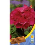 Пеларгонія рожева /8 насінин/ *Moravoseed*