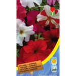 Петунія двоколірна суміш /0,04 г/ *Moravoseed*