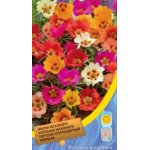 Портулак крупноцветковый смесь /0,15 г/ *Moravoseed*